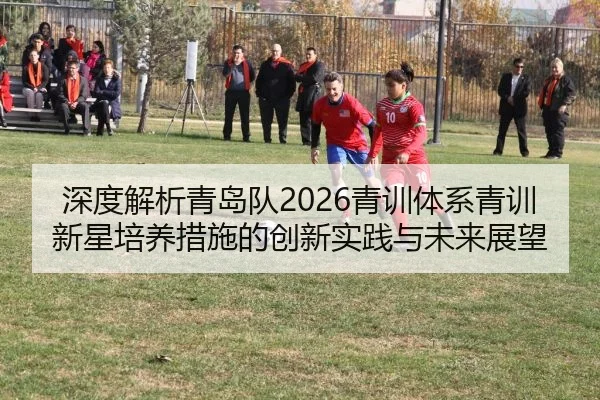 深度解析青岛队2026青训体系青训新星培养措施的创新实践与未来展望